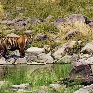 Explore Private 7 Day Royal Heritage Trail tour by car for 7 days with Avtar India Tours and discover unforgettable experiences - Photo 3