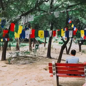 Explore 8 Day Private Golden Temples Holly City Tour by Car for 8 days with Avtar India Tours and discover unforgettable experiences - Photo 5