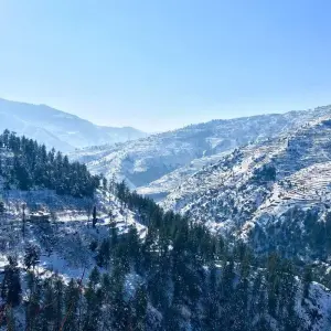 Explore Private 6 Day Shimla & Manali tour by car for 6 days with Avtar India Tours and discover unforgettable experiences - Photo 6