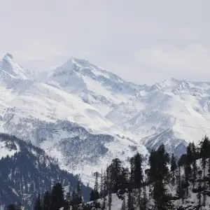 Explore Private 6 Day Shimla & Manali tour by car for 6 days with Avtar India Tours and discover unforgettable experiences - Photo 9