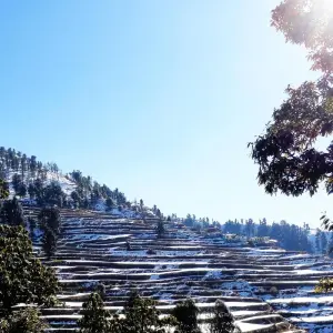 Explore Private 7 Day Himalayas tour by Private car for 7 days with Avtar India Tours and discover unforgettable experiences - Photo 7