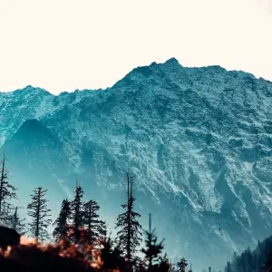 Explore Private 6 Day Shimla & Manali tour by car for 6 days with Avtar India Tours and discover unforgettable experiences - Photo 11