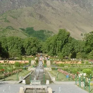 Explore Private 8 Day Best of Kashmir with Golden Temple Tour for 8 days with Avtar India Tours and discover unforgettable experiences - Photo 5