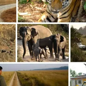Explore Private 12 Days Utranchal & corbett national park with Taj Mahal tour by by car for 12 days with Avtar India Tours and discover unforgettable experiences - Photo 4