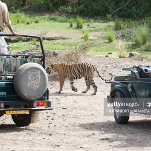 Explore 21 Days Rajasthan Forts,Palaces & Castles tour by car for 21 days with Avtar India Tours and discover unforgettable experiences - Photo 3