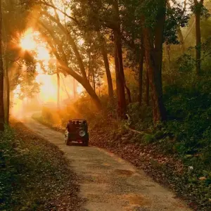 Explore Private 12 Days Utranchal & corbett national park with Taj Mahal tour by by car for 12 days with Avtar India Tours and discover unforgettable experiences - Photo 5