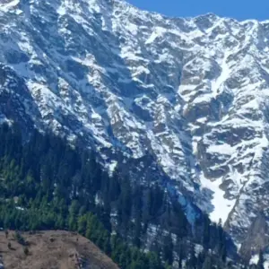 Explore Private 12 Days Utranchal & corbett national park with Taj Mahal tour by by car for 12 days with Avtar India Tours and discover unforgettable experiences - Photo 9