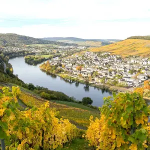 Explore The Rhine & Moselle: Canals, Vineyards & Castles 2026 for 8 days with Avalon Waterways and discover unforgettable experiences - Photo 8