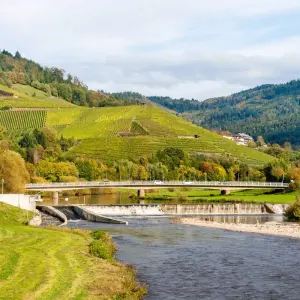 Explore Rhine & Rhône Revealed for Wine Lovers (Southbound) 2026 for 15 days with Avalon Waterways and discover unforgettable experiences - Photo 7