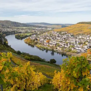 Explore The Rhine & Moselle: Canals, Vineyards and Castles 2026 for 8 days with Avalon Waterways and discover unforgettable experiences - Photo 7