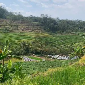 Explore Indonesia Great Trip : Java Bali  Tour With Local Guided for 14 days with Ayla Tour and Transport and discover unforgettable experiences - Photo 2