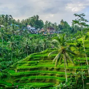 Explore Amazing Bali Experience : Private & All Inclusive for 7 days with Ayla Tour and Transport and discover unforgettable experiences - Photo 6