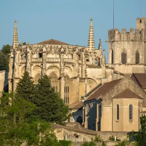 Explore Active & Discovery on the Rhône (Southbound) 2026 for 8 days with Avalon Waterways and discover unforgettable experiences - Photo 4