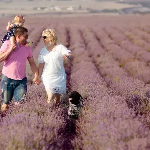 Explore Active & Discovery on the Rhône with 2 Nights in Paris (Northbound) 2025 for 10 days with Avalon Waterways and discover unforgettable experiences - Photo 7