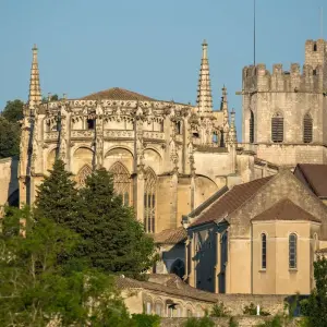 Explore Active & Discovery on the Rhône with 2 Nights in Paris (Southbound) 2025 for 10 days with Avalon Waterways and discover unforgettable experiences - Photo 5