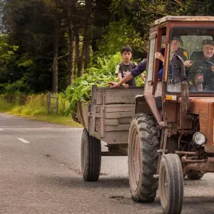 Explore Agritour to Azerbaijan including historical sightseeings - 7 days multi-day tour for 7 days with Azerbaijan Guide and discover unforgettable experiences - Photo 5