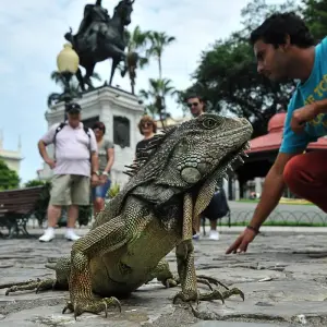 Explore Galápagos Explorer - Guayaquil & Santa Cruz - 7 Days for 7 days with BM Tours and discover unforgettable experiences - Photo 4