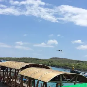 Explore Island Hopping 8 Days 7 Nights for 8 days with BM Tours and discover unforgettable experiences - Photo 4