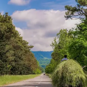 Explore Agritour to Azerbaijan including historical sightseeings - 7 days multi-day tour for 7 days with Azerbaijan Guide and discover unforgettable experiences - Photo 6