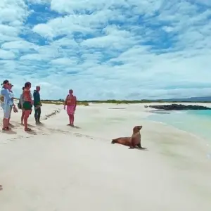 Explore Galápagos Explorer - Guayaquil & Santa Cruz - 7 Days for 7 days with BM Tours and discover unforgettable experiences - Photo 5