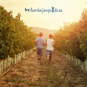 Explore Agritour to Azerbaijan including historical sightseeings - 7 days multi-day tour for 7 days with Azerbaijan Guide and discover unforgettable experiences - Photo 8