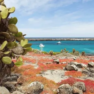 Explore Santa Cruz Explorer 4 Days 3 Nights for 4 days with BM Tours and discover unforgettable experiences - Photo 7