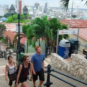 Explore Galápagos Explorer - Guayaquil & Santa Cruz - 7 Days for 7 days with BM Tours and discover unforgettable experiences - Photo 7