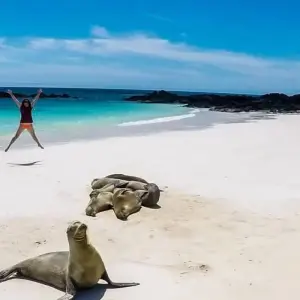 Explore Nature and Adventure: 5 Days in Santa Cruz and Isabela for 5 days with BM Tours and discover unforgettable experiences - Photo 4