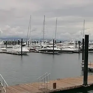 Explore Tropical Adventure in Panama: Gamboa Rainforest and Panama City for 7 days with BM Tours and discover unforgettable experiences - Photo 3