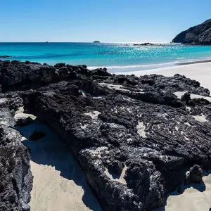 Explore Nature and Adventure: 5 Days in Santa Cruz and Isabela for 5 days with BM Tours and discover unforgettable experiences - Photo 5