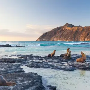 Explore San Cristobal Explorer 4D 3N for 4 days with BM Tours and discover unforgettable experiences - Photo 5