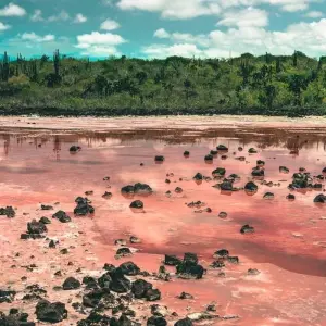 Explore Galápagos Full Experience 4D-3N! for 4 days with BM Tours and discover unforgettable experiences - Photo 6