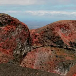 Explore Nature and Adventure: 5 Days in Santa Cruz and Isabela for 5 days with BM Tours and discover unforgettable experiences - Photo 7