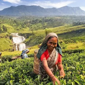 Explore Dream Honeymoon In Sri Lanka for 14 days with BH Lanka Tours  and discover unforgettable experiences - Photo 2