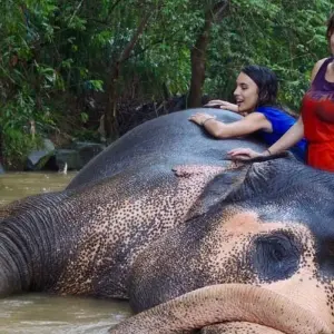 Explore Semi-Luxury Travel Sri Lanka for 14 days with BH Lanka Tours  and discover unforgettable experiences - Photo 4