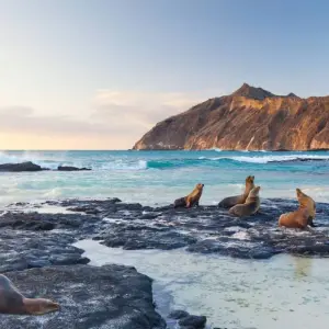 Explore San Cristobal Explorer 4D 3N for 4 days with BM Tours and discover unforgettable experiences - Photo 7