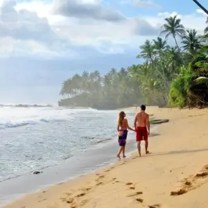 Explore Grand Tour Of Sri Lanka for 12 days with BH Lanka Tours  and discover unforgettable experiences - Photo 4