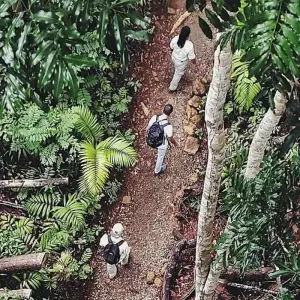 Explore Tropical Adventure in Panama: Gamboa Rainforest and Panama City for 7 days with BM Tours and discover unforgettable experiences - Photo 8