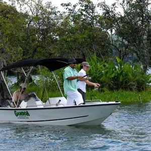 Explore Tropical Adventure in Panama: Gamboa Rainforest and Panama City for 7 days with BM Tours and discover unforgettable experiences - Photo 9