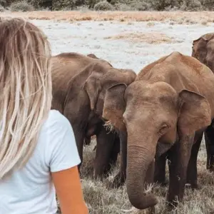 Explore Semi-Luxury Travel Sri Lanka for 14 days with BH Lanka Tours  and discover unforgettable experiences - Photo 6