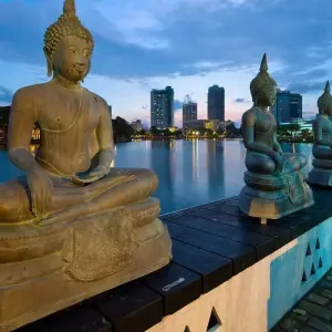 Explore Glamour Of Sri Lanka for 11 days with BH Lanka Tours  and discover unforgettable experiences - Photo 6