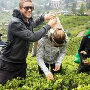 Explore Sri Lanka Deluxe Travels for 8 days with BH Lanka Tours  and discover unforgettable experiences - Photo 3