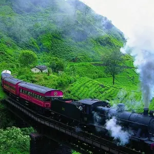 Explore Sri Lanka Deluxe Travels for 8 days with BH Lanka Tours  and discover unforgettable experiences - Photo 4