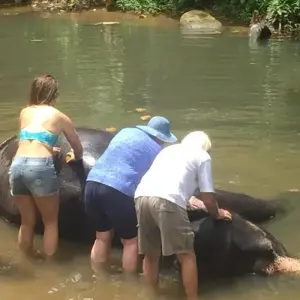 Explore Sri Lanka Adventure Scape for 11 days with BH Lanka Tours  and discover unforgettable experiences - Photo 6