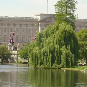 Explore London in 3 Days: Explore the City with Optional Add-Ons for 3 days with BTOURS and discover unforgettable experiences - Photo 2