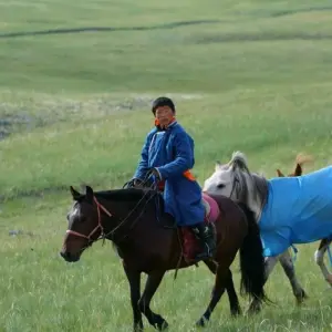 Explore Horse Trekking In Altai Mountains for 10 days with BTTC Travel and discover unforgettable experiences - Photo 3
