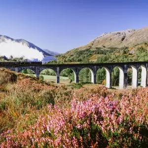 Explore Taste of Scotland | 8 Days Self-Drive Tour for 8 days with BTOURS and discover unforgettable experiences - Photo 6