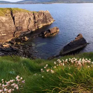 Explore Wild Atlantic Way | Ireland for 10 days with BTOURS and discover unforgettable experiences - Photo 7