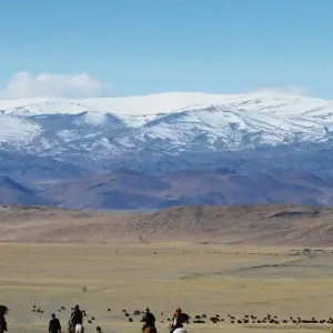 Explore Horse Trekking In Altai Mountains for 10 days with BTTC Travel and discover unforgettable experiences - Photo 6