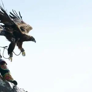 Explore Eagle festival tour for 8 days with BTTC Travel and discover unforgettable experiences - Photo 10